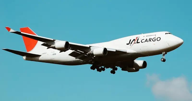 FedEx International Shipping: Economy vs Priority vs First